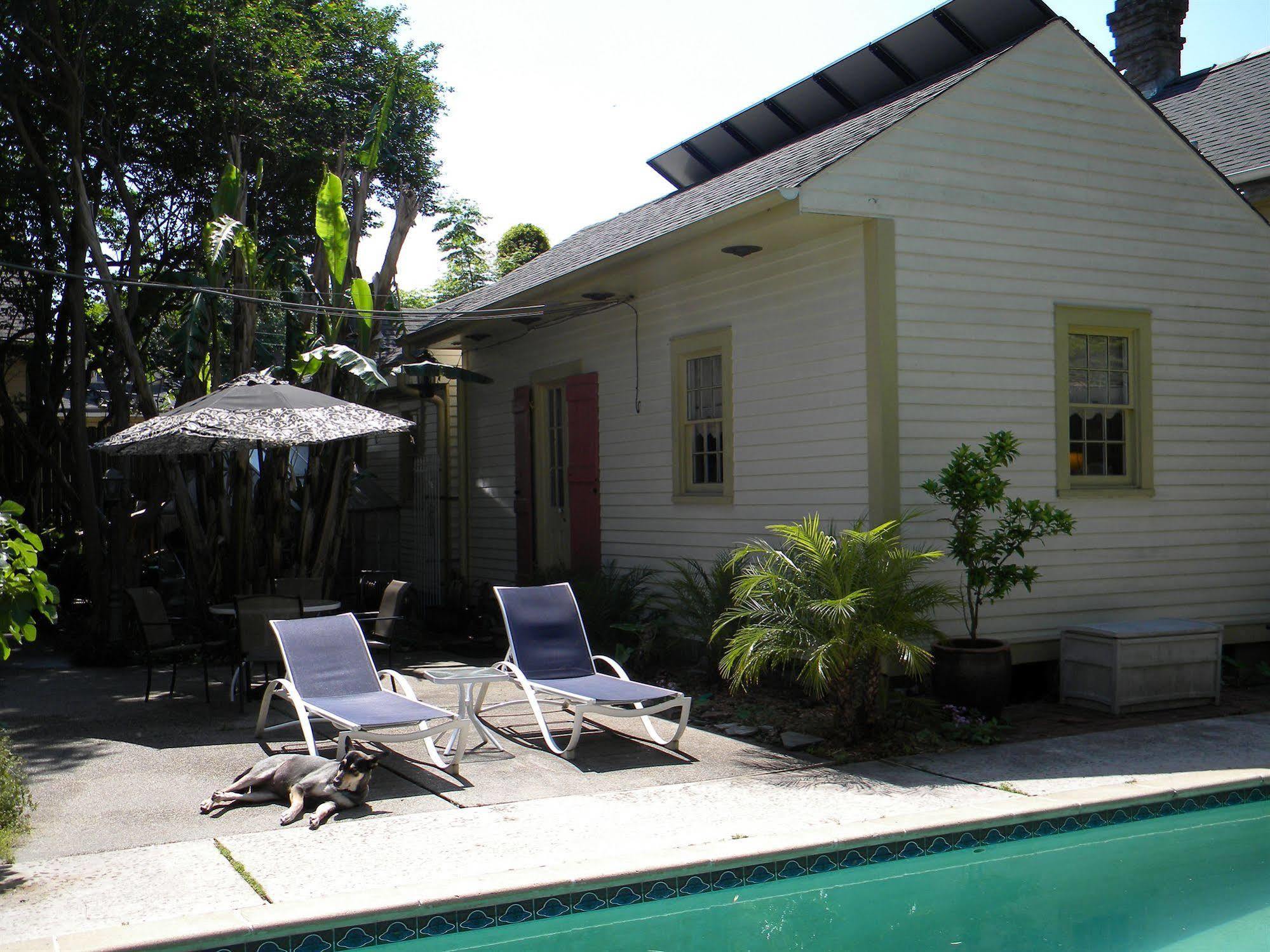 Maison De Macarty Bed and Breakfast New Orleans Exteriör bild
